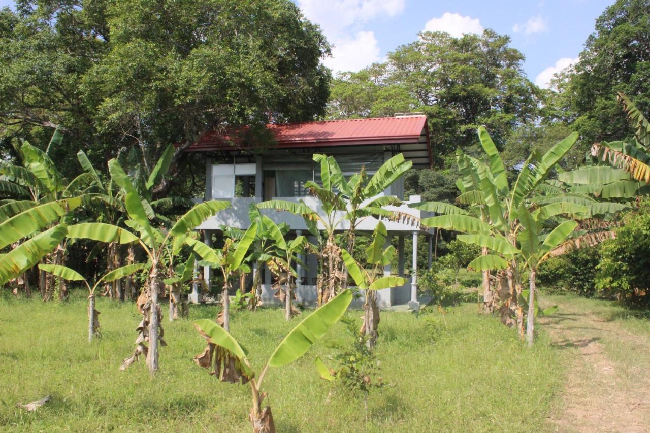 Forest Tree Top Holiday Resort Buttala Exterior photo