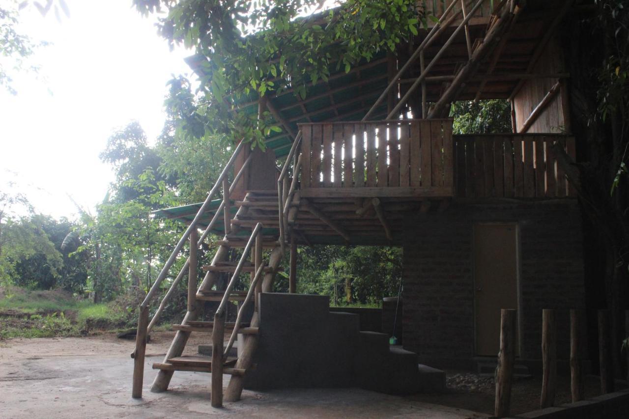 Forest Tree Top Holiday Resort Buttala Exterior photo