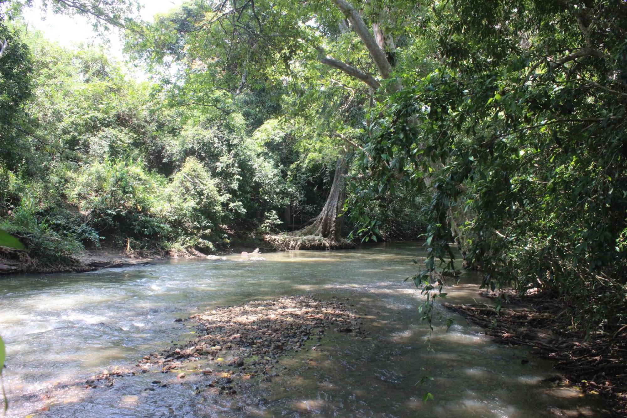 Forest Tree Top Holiday Resort Buttala Exterior photo